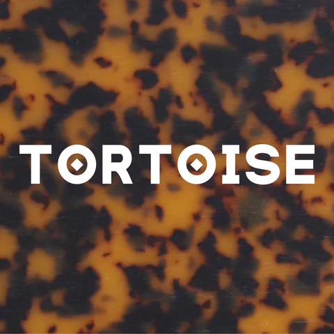 TORTOISE