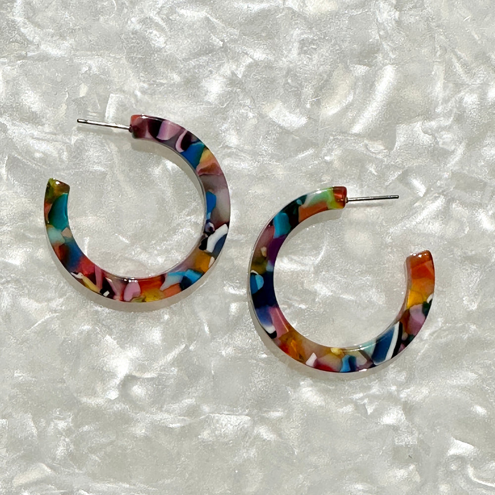 Hoop Earrings in Multicolor